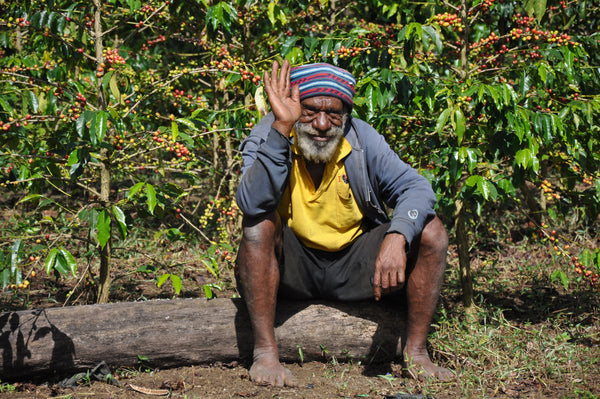 Papua New Guinea Kokoda Organic Coffee